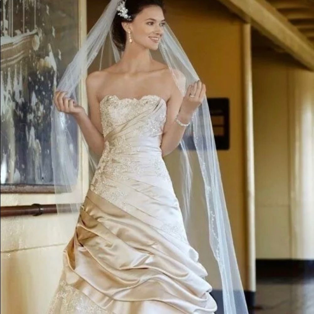 New with tags! David’s Bridal Wedding gown